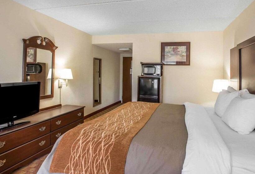 キングサイズベッドのスイートルーム, Comfort Inn & Suites At I 85