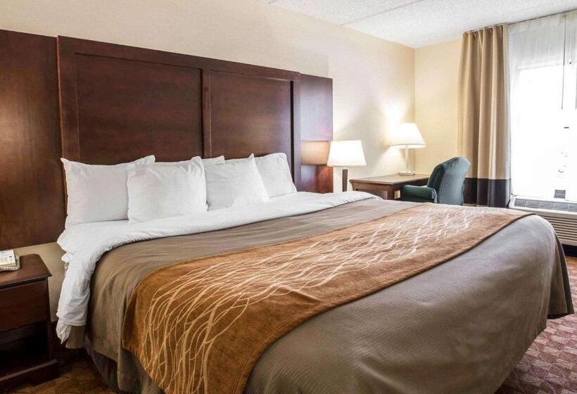 身障者適用キングサイズベッドルーム, Comfort Inn & Suites At I 85