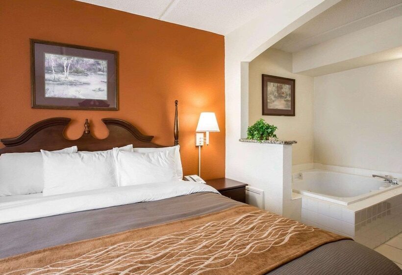 スイート, Comfort Inn & Suites At I 85