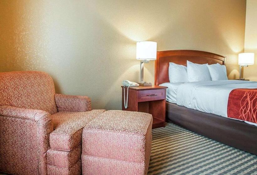 스탠다드 룸 킹사이즈 침대, Comfort Inn & Suites Carneys Point