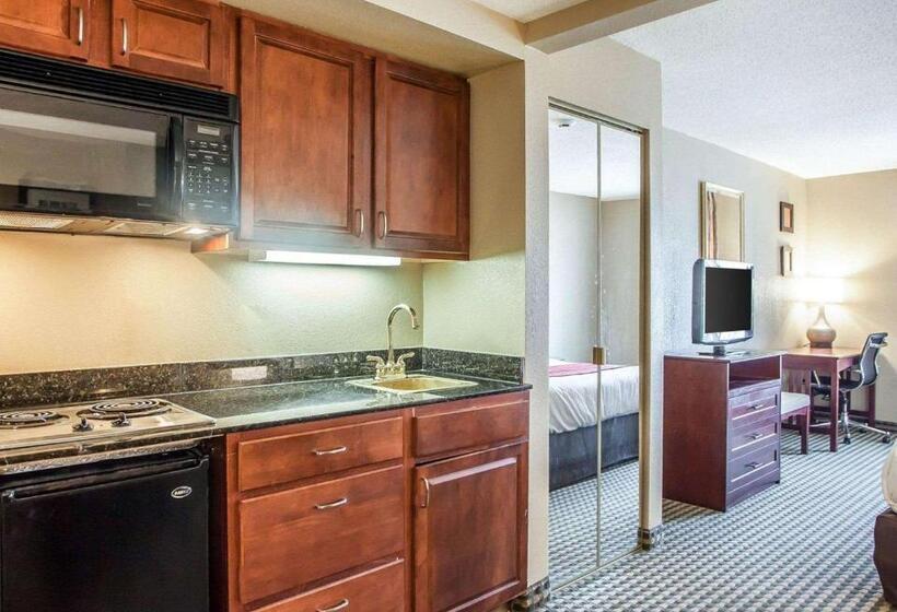 جناح لذوى الاحتياجات الخاصة, Comfort Inn & Suites Carneys Point