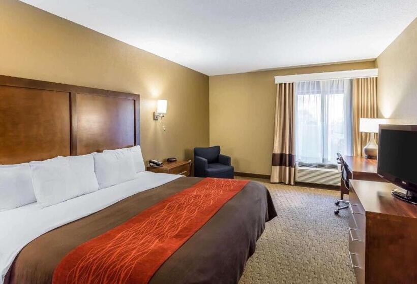 스탠다드 룸 킹사이즈 침대, Comfort Inn & Suites