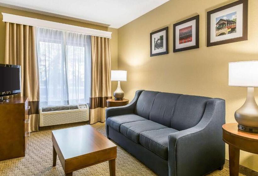 스위트 킹사이즈 침대, Comfort Inn & Suites