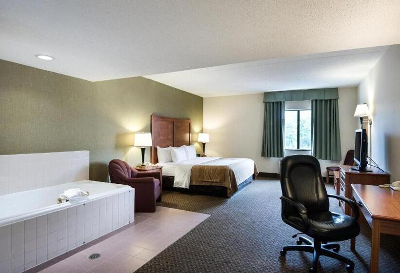스탠다드 룸 킹사이즈 침대, Comfort Inn & Suites Lavale  Cumberland