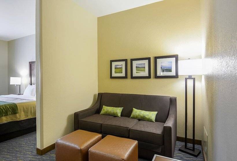 Люкс Адаптированный для Инвалидов, Comfort Inn Woodstock Shenandoah