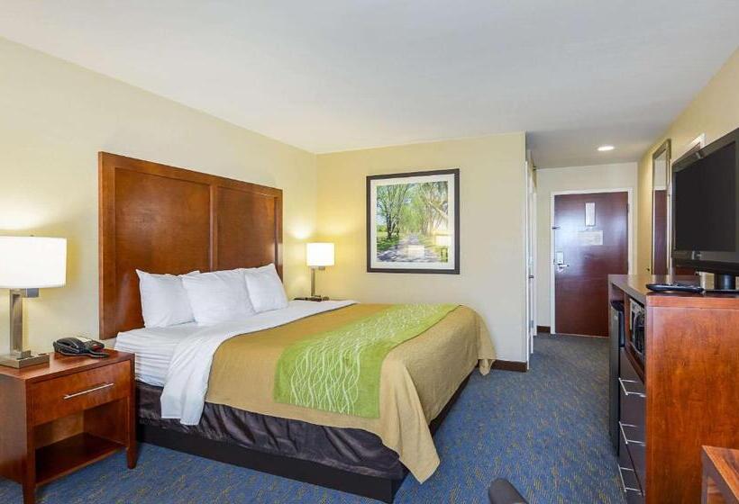 Люкс Адаптированный для Инвалидов, Comfort Inn Woodstock Shenandoah