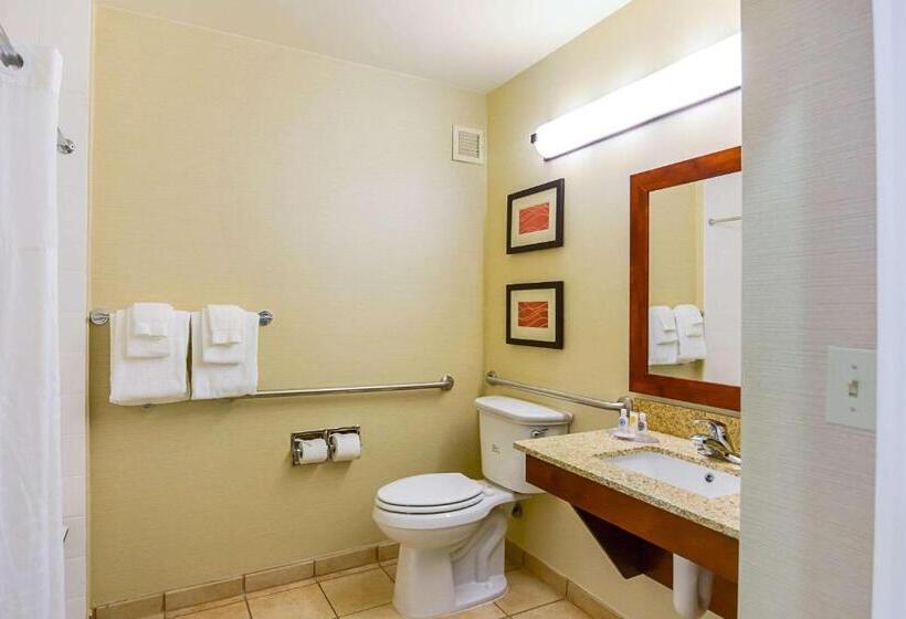 Номер Стандарт Адаптированный для Инвалидов, Comfort Inn Woodstock Shenandoah