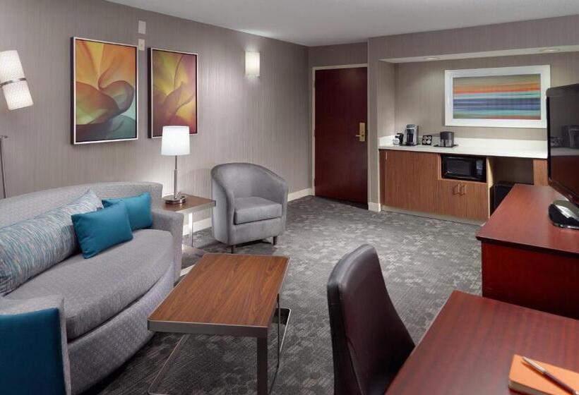 带大床的套房, Courtyard By Marriott Atlanta Alpharetta