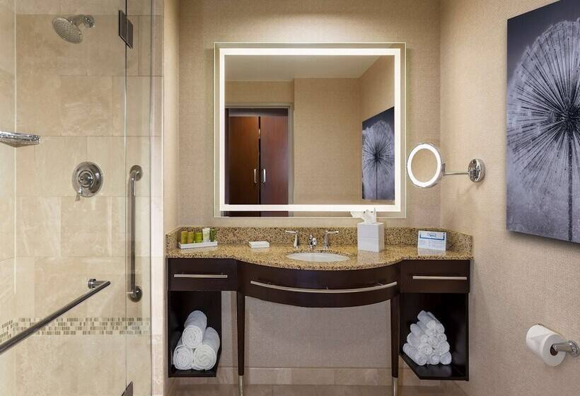 Quarto Estandar para Deficientes Físicos, Hilton Americashouston