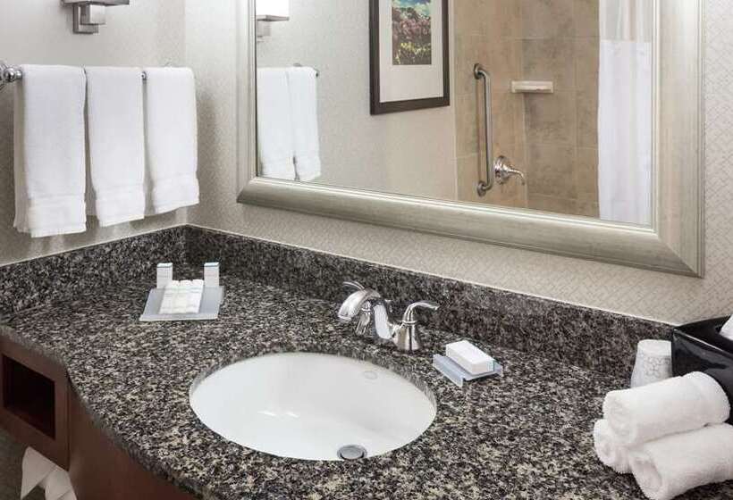 Standard-huone King-vuode, Hilton Americashouston