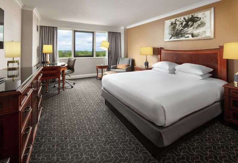 Standard-huone, Hilton Americashouston