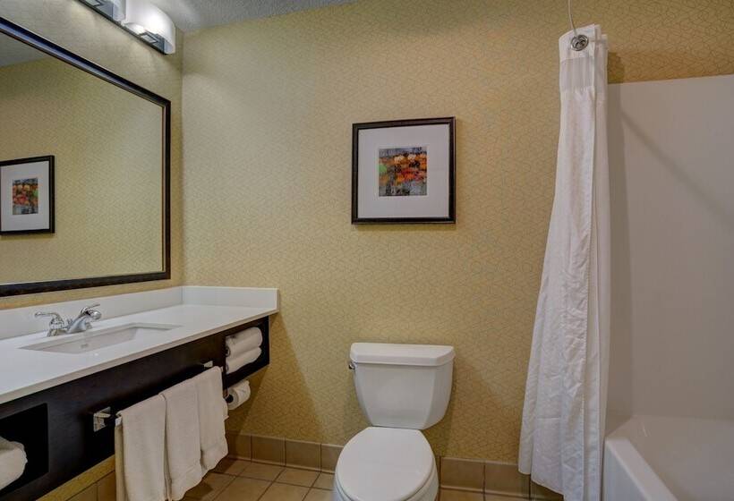 标准间, Holiday Inn Milwaukee Airport, An Ihg