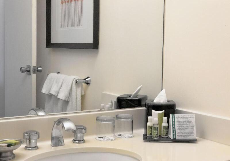 استودیو استاندارد با تخت کینگ, Homewood Suites By Hilton Richmond  Airport
