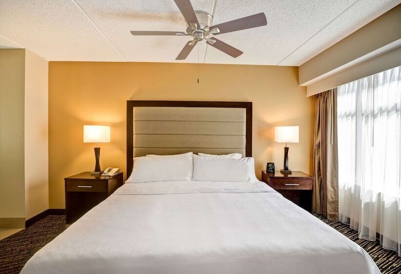 프리미엄 스위트, Homewood Suites By Hilton Washington, D.c. Downtown
