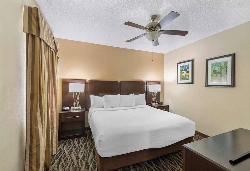 Президентский Люкс, Best Western Plus Russellville Hotel & Suites