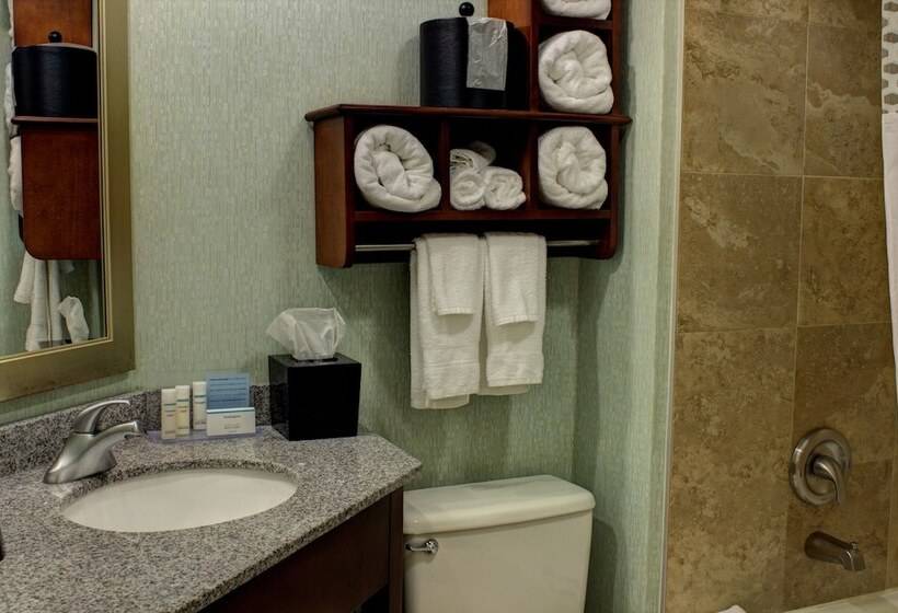 Стандартный Номер Кровать Кинг, Hampton Inn Daytona Speedway