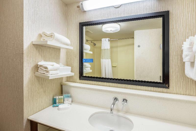 キングサイズベッドのスタンダードルーム, Hampton Inn & Suites Austinairport