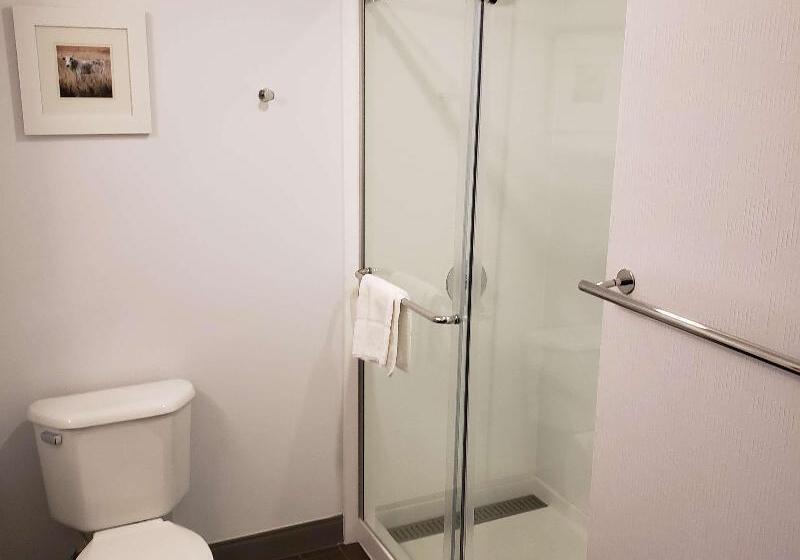 Стандартный Номер Кровать Кинг, Hampton Inn Tulsa Broken Arrow