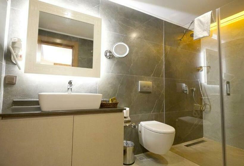Suite, Green Beyza Suites