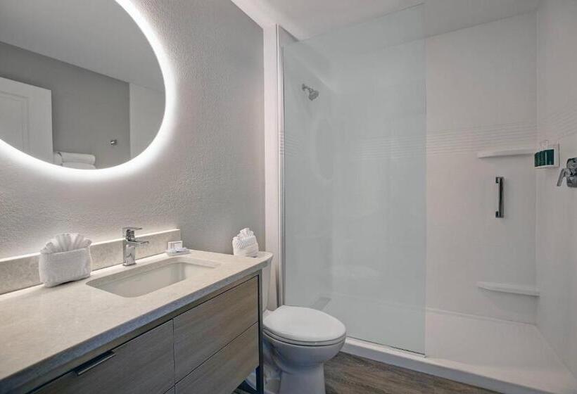 Студия Стандарт, Towneplace Suites By Marriott Phoenix Glendale Sports & Entertainment District