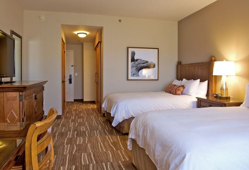 חדר פרמיום עם נוף לעיר, Jw Marriott Tucson Starr Pass Resort