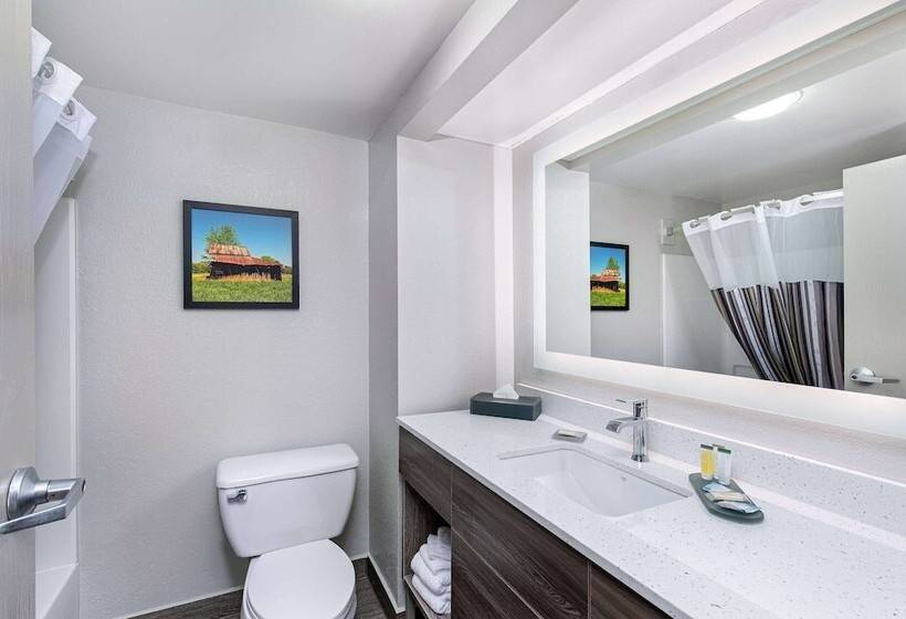 Номер Deluxe, La Quinta Inn By Wyndham Pigeon Forgedollywood