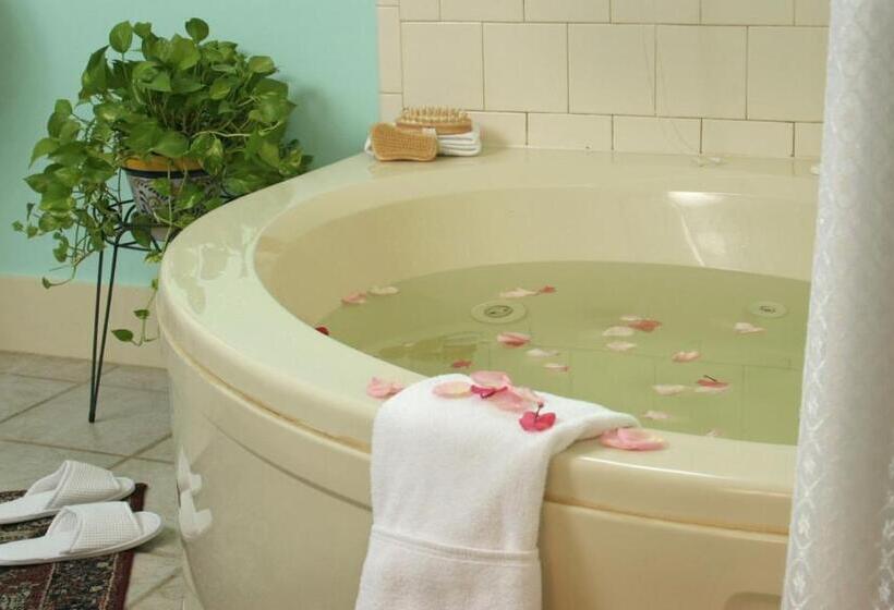 Номер Deluxe Кровать Кинг, St. Francis Inn   Saint Augustine
