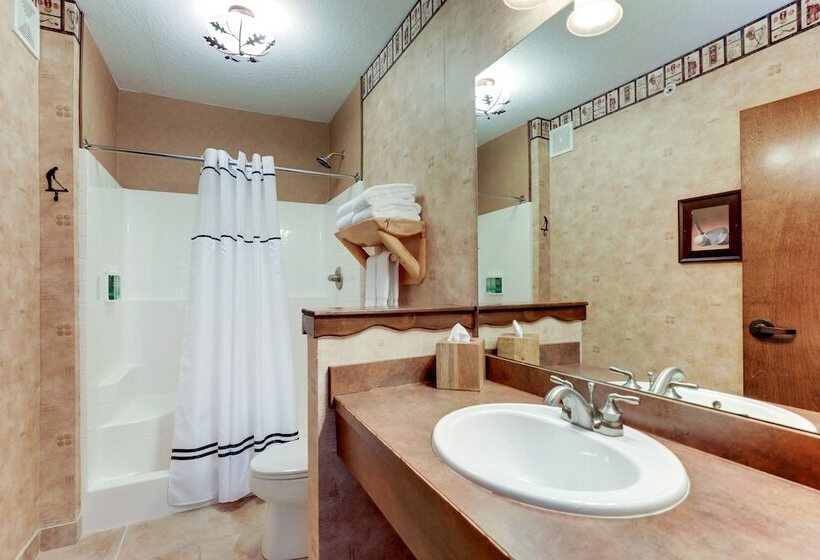 Люкс Superior, Stoney Creek Hotel Des Moines   Johnston
