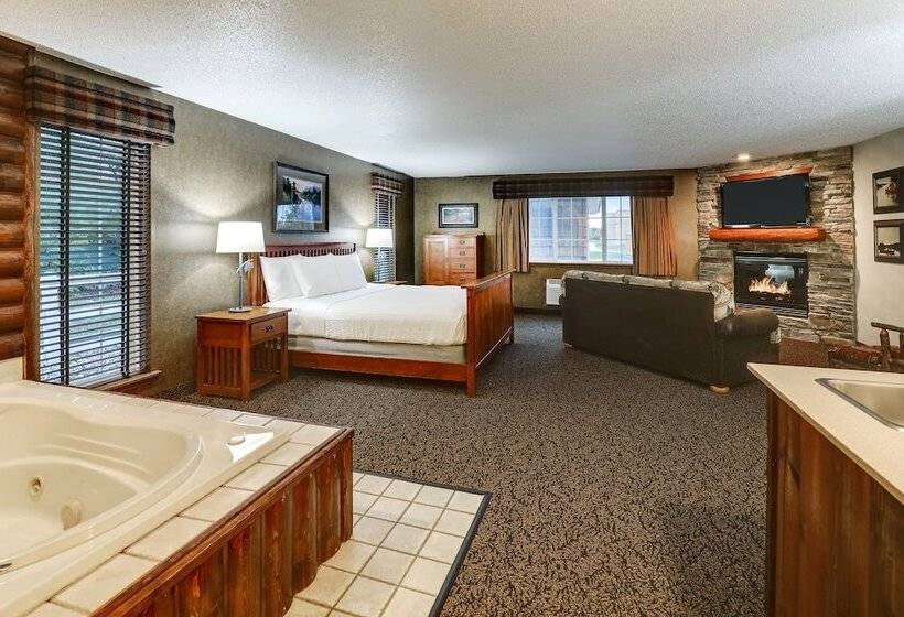 Люкс Superior, Stoney Creek Hotel Des Moines   Johnston