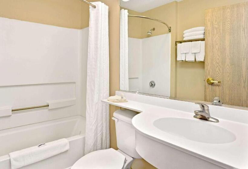 Студия Стандарт, Microtel Inn & Suites By Wyndham Florence/cincinnati Airpo