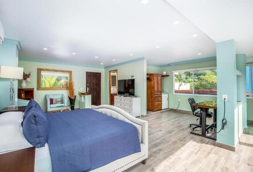 Sviitti Uima-allas, South Shore Villa Armonia Luxury Boutique