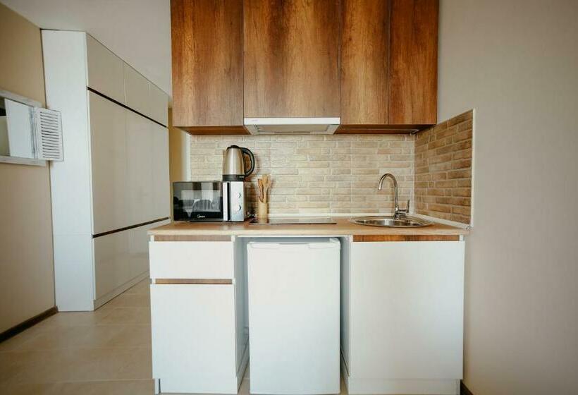 استودیوی استاندارد, Maisako's New Gudauri Apartment