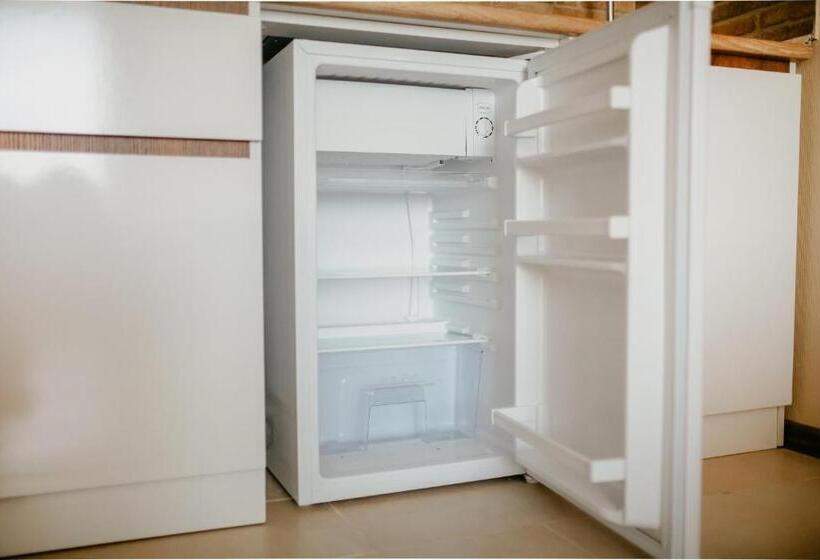 استودیوی استاندارد, Maisako's New Gudauri Apartment