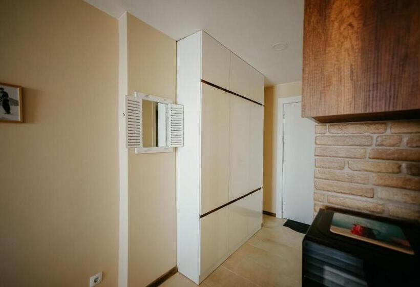 استودیوی استاندارد, Maisako's New Gudauri Apartment