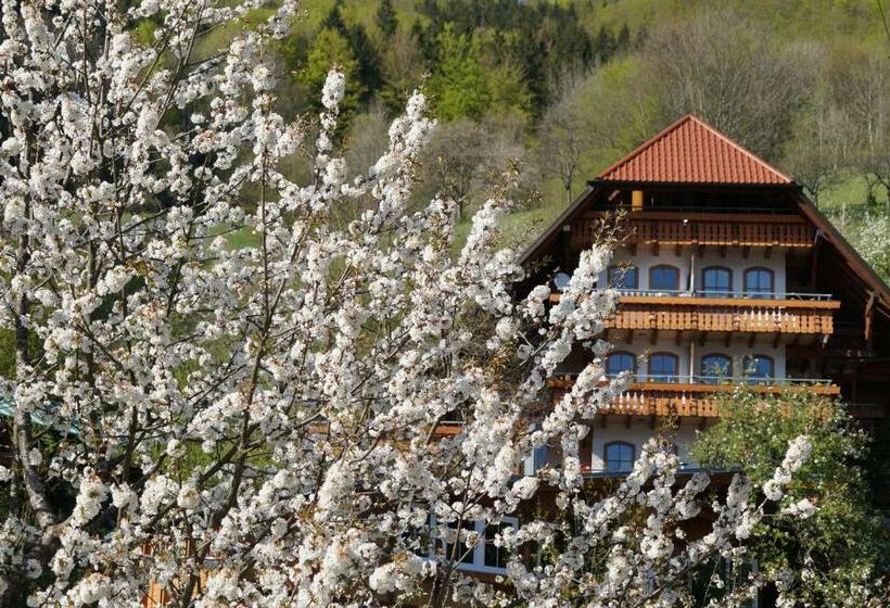 Студия Стандарт, Ehrenmättlehof Faißt
