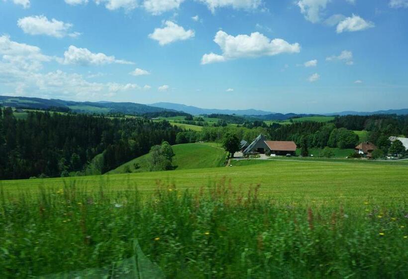 Апартаменты 1 Спальня, Ehrenmättlehof Faißt