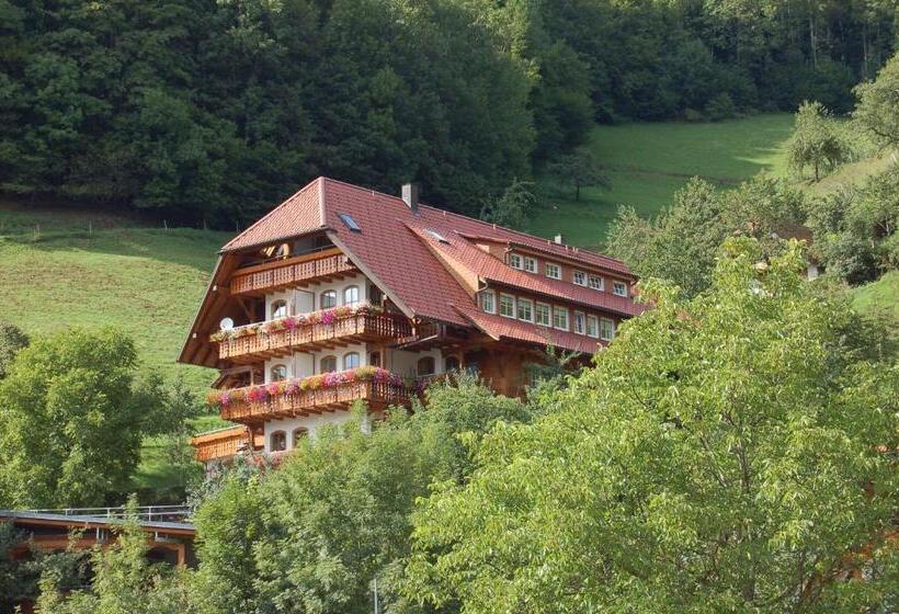 Апартаменты 2 Спальни, Ehrenmättlehof Faißt