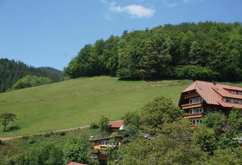 Апартаменты 1 Спальня, Ehrenmättlehof Faißt