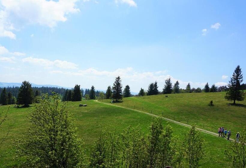 Апартаменты 2 Спальни, Ehrenmättlehof Faißt