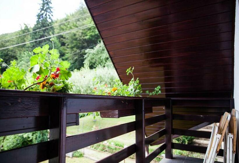 Номер Стандарт, Pension Marina