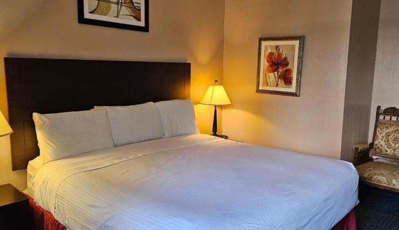 身障者適用スタンダードルーム, Bellis Inn