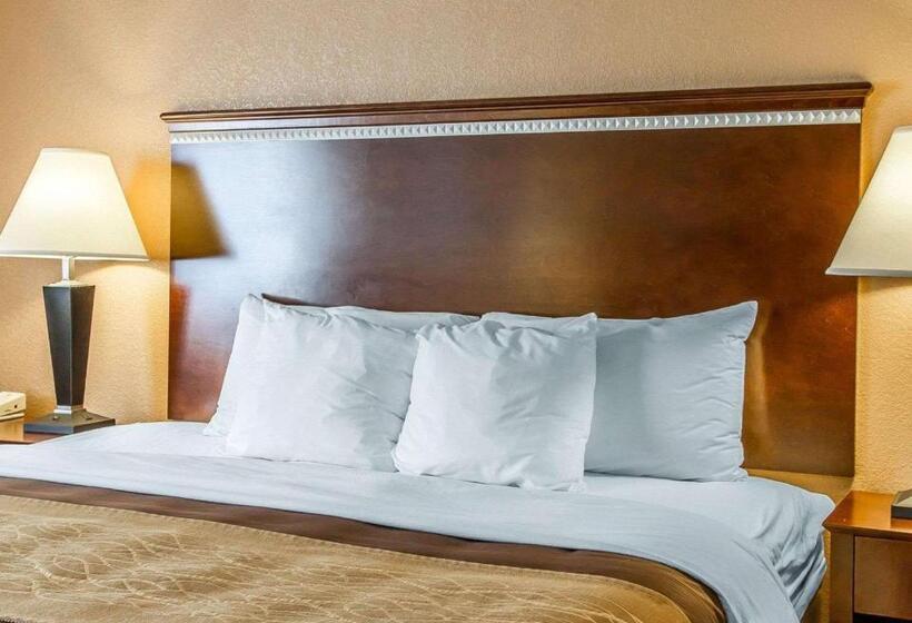 Стандартный Номер Кровать Кинг, Quality Inn & Suites