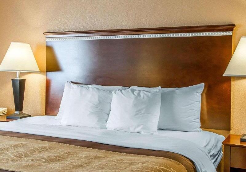 Стандартный Номер Кровать Кинг, Quality Inn & Suites