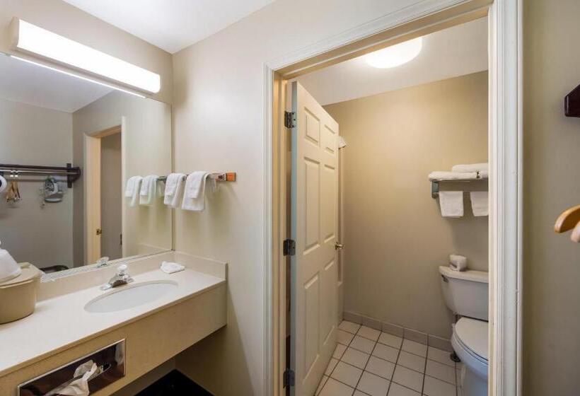 Номер Deluxe, Red Roof Inn Hendersonville