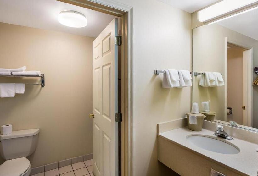 Номер Superior Кровать Кинг, Red Roof Inn Hendersonville