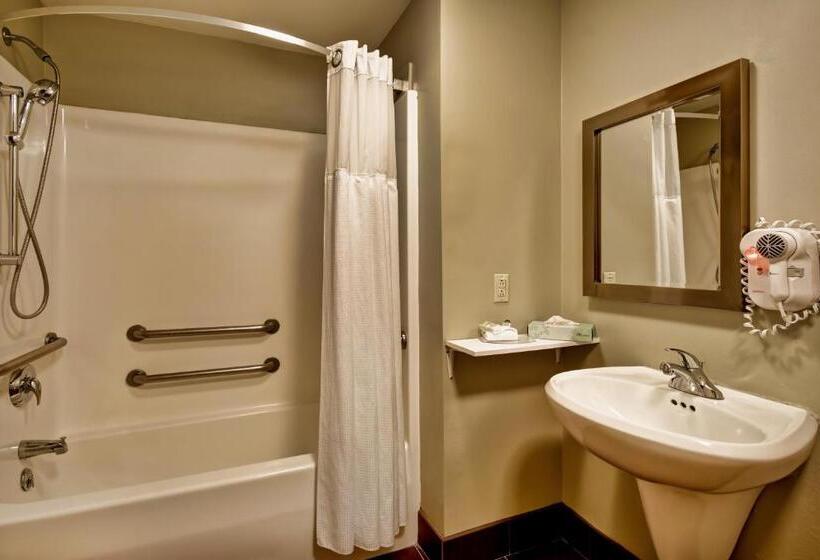 اتاق استاندارد برای معلولان, Staybridge Suites Madison   East, An Ihg