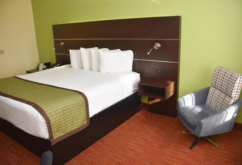 Номер Стандарт Кровать Кинг Адаптированный для Инвалидов, Surestay Hotel By Best Western Manning