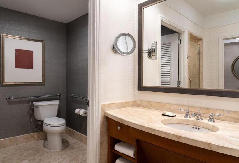 Номер Стандарт Адаптированный для Инвалидов, The Ritzcarlton, Boston
