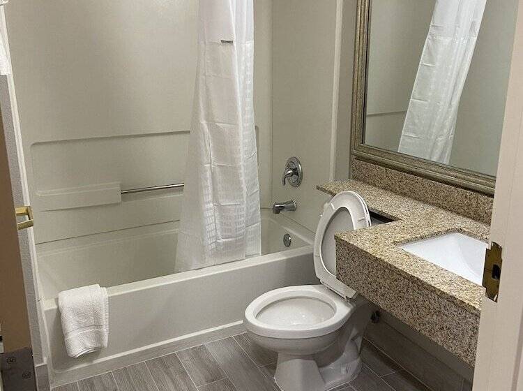 Студия Deluxe, Microtel Inn & Suites By Wyndham Statesville