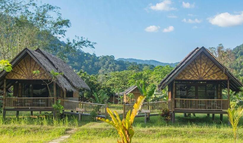Бунгало Стандарт, Our Jungle Camp   Eco Resort
